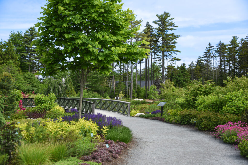 Trail. Photo Courtesy of Coastal Maine Botanical Gardens