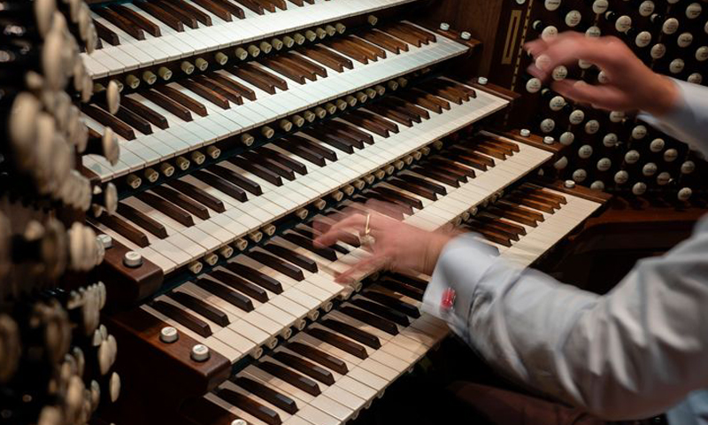 Organ. Photo Credit: Sarah Sullivan