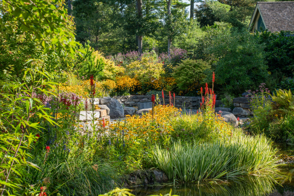 Garden. Photo Courtesy of Coastal Maine Botanical Gardens