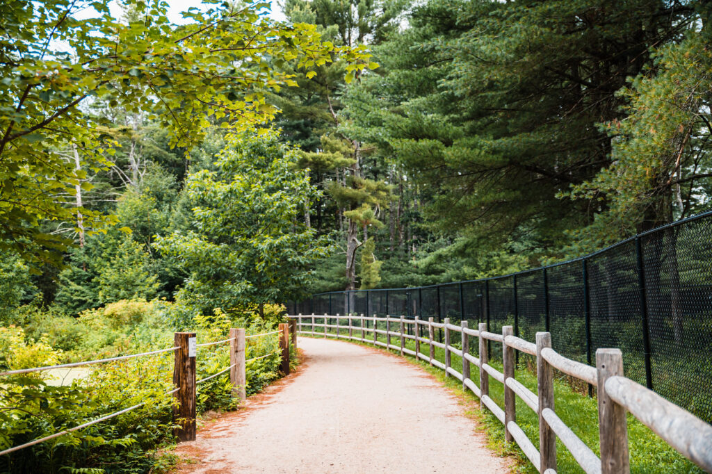 Trail. Photo Credit: Maine Wildlife Park
