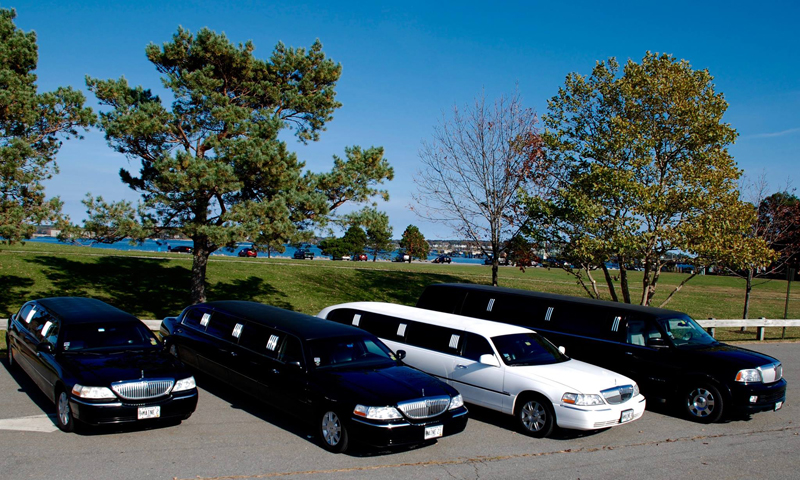 Limos Parked. Photo Provided by Maine Limousine Service
