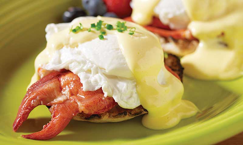 Lobster. Photo Provided by Linda Bean's Perfect Maine Lobster. Photo Provided by Linda Bean's Perfect Maine