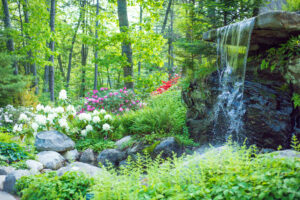 Garden. Photo Courtesy of Coastal Maine Botanical Gardens