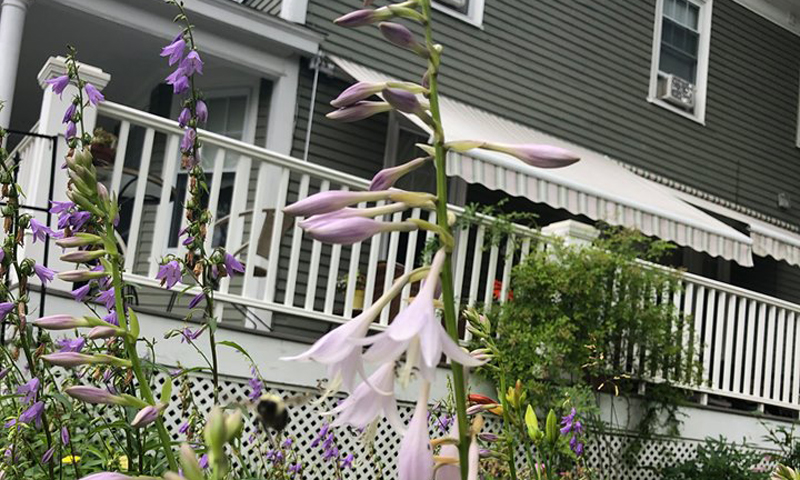 Exterior from Garden. Photo Provided by Fleetwood House Bed and Breakfast