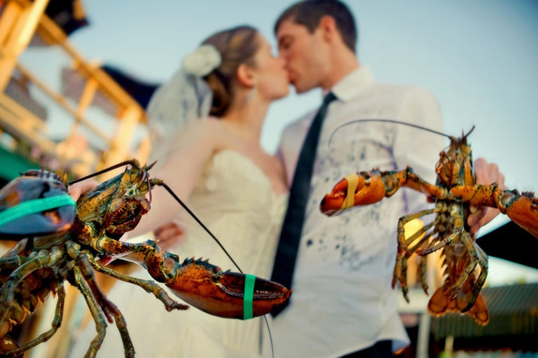 Couple Holding Lobsters, Photo provided by Michelle Turner Couple Holding Lobsters, Photo provided by Michelle Turner