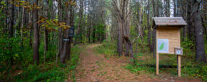 Mast Landing Audubon Sanctuary Freeport, Photo credit Serena Folding