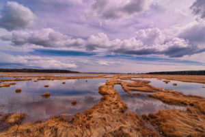 Scarborough Marsh Stormy Skies, Photo Credit: Cynthia Farr-Weinfeld