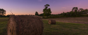 Fuller Farm, Photo Credit: CFW Photography