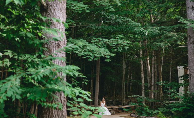 Bride in Forest. Photo Credit: Paul Robert Berman Photography Photo Credit: Paul Robert Berman Photography