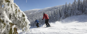 Two Alpine Skiers Downhill in Winter