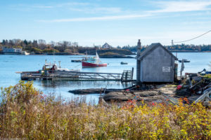 Island Grass on Casco Bay, Photo credit: Corey Templeton