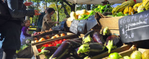 Portland Farmers Market, Photo Credit: Corey Templeton