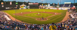 Sea Dogs Game, Photo Credit: Corey Templeton