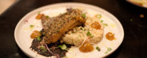 Plated Dinner Sur Lie, Photo Credit: Capshore Photography