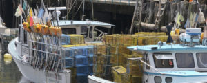Boats on Customs House Wharf, Photo Courtesy of Alan Lavalle