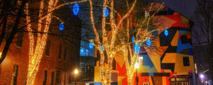Pandora Winter Lights, Photo Credit Capshore Photography
