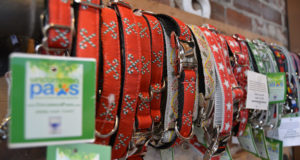 Dog Collar Display, Photo courtesy of Uncommon Paws