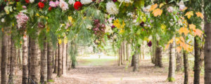 Flower Arch at Mowfield in Cumberland, Photo Courtesy of Abigail Williams