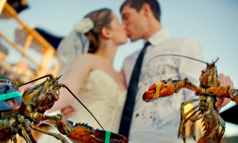 Couple Holding Lobsters, Photo Credit: Michelle Turner Couple Holding Lobsters, Photo Credit: Michelle Turner
