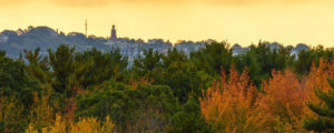Fall Foliage, Photo Credit: Corey Templeton