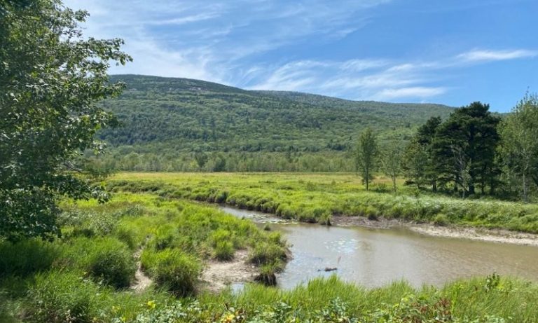Acadia National Park Stream, Carriage Trails, Photo by Visit Portland / Kirstie Archambault Acadia National Park Stream, Carriage Trails, Photo by Visit Portland / Kirstie Archambault