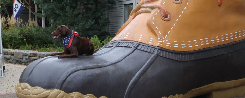 Dog on L.L.Bean Boot, Photo Courtesy of Visit Freeport Dog on L.L.Bean Boot, Photo Courtesy of Visit Freeport