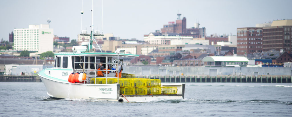 Lobster Boat with City View. Photo Credit: Capshore Photography Lobster Boat with City View. Photo Credit: Capshore Photography