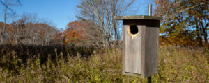 Gilsland Farm Audobon Center, Photo Credits: Serena Folding