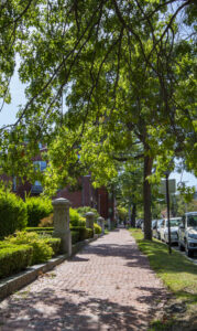 Portland West End, Photo Credits: Serena Folding