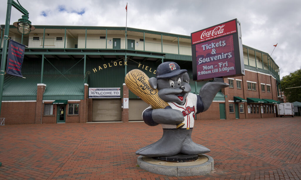 Hadlock Field, Photo Credits: Serena Folding Hadlock Field, Photo Credits: Serena Folding