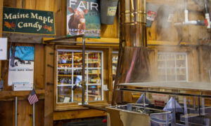Cumberland Fair, Photo Credits: Serena Folding