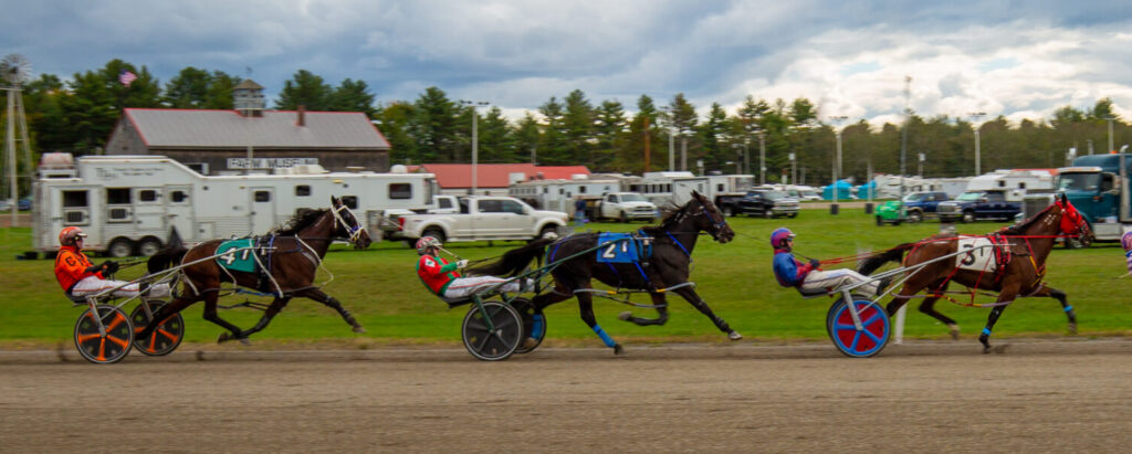 Cumberland Fair Photo Credits: Serena Folding Cumberland Fair, Photo Credits: Serena Folding