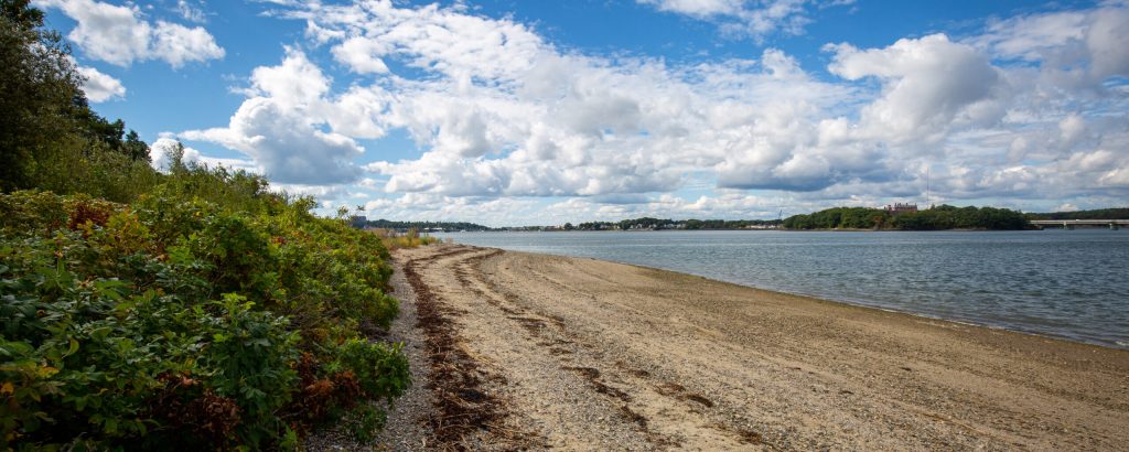 Mackworth Island, Photo Credits: Serena Folding Mackworth Island, Photo Credits: Serena Folding