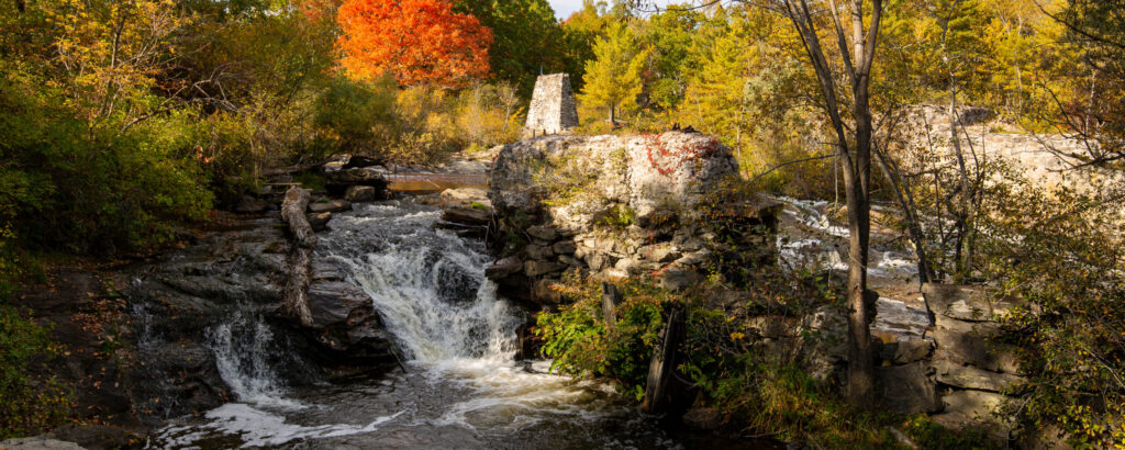 Royal River Park, Photo Credits: Serena Folding Royal River Park, Photo Credits: Serena Folding