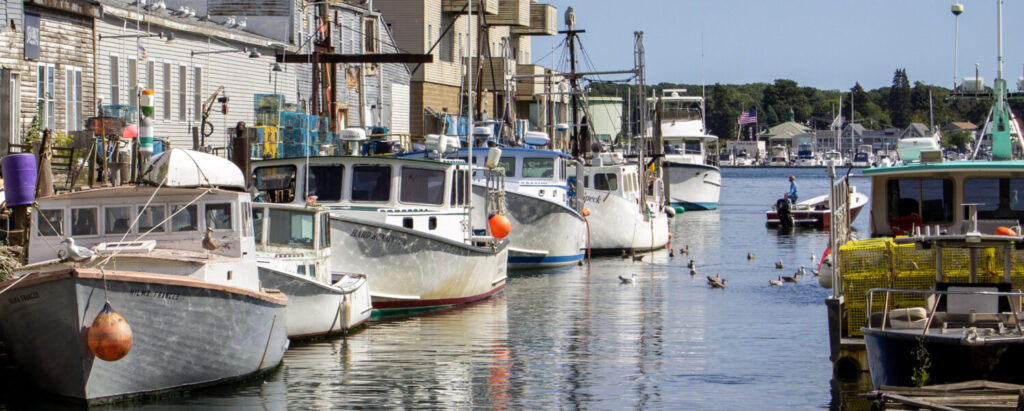 Portland Working Waterfront, Photo Credits: Serena Folding Portland Working Waterfront, Photo Credits: Serena Folding