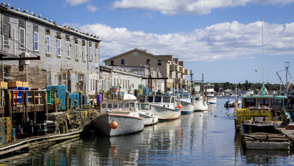 Portland Working Waterfront, Photo Credits: Serena Folding Portland Working Waterfront, Photo Credits: Serena Folding