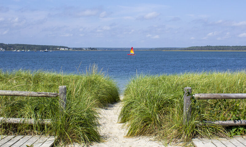 Ferry Beach , Photo Credits: Serena Folding Ferry Beach, Photo Credits: Serena Folding