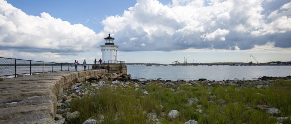Bug Light, Photo Credits: Serena Folding Bug Light, Photo Credits: Serena Folding