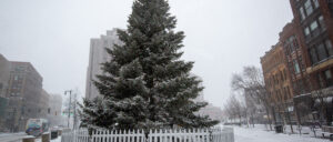 Monument Square Christmas Tree Snow Storm, Photo Credits: Serena Folding
