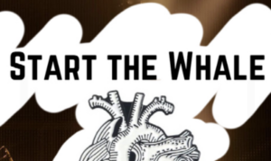 LIVE MUSIC w/ Start the Whale - Photo Credit: Three Strong