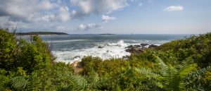 Fort Williams Park Photo Credits: Serena Folding