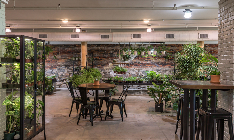 Terrarium Portland. Photo Credit: PGM Photography Terrarium Portland. Photo Credit: PGM Photography