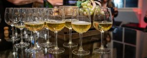 Wine at Cellardoor. Photo Credit: Serena Folding