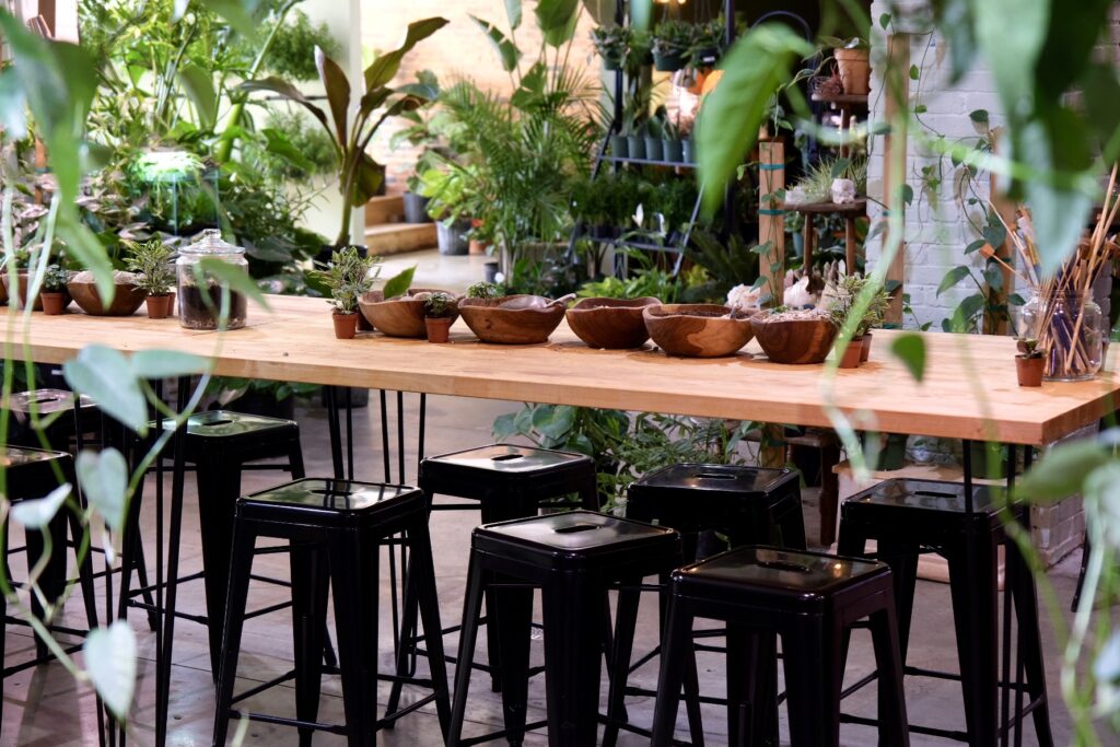 Terrarium. Photo Credit: Anna Sinnott