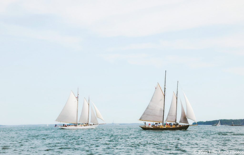 Sail Boats in the Bay, Photo Credits: Elissa Salter Sail Boats in the Bay, Photo Credits: Elissa Salter