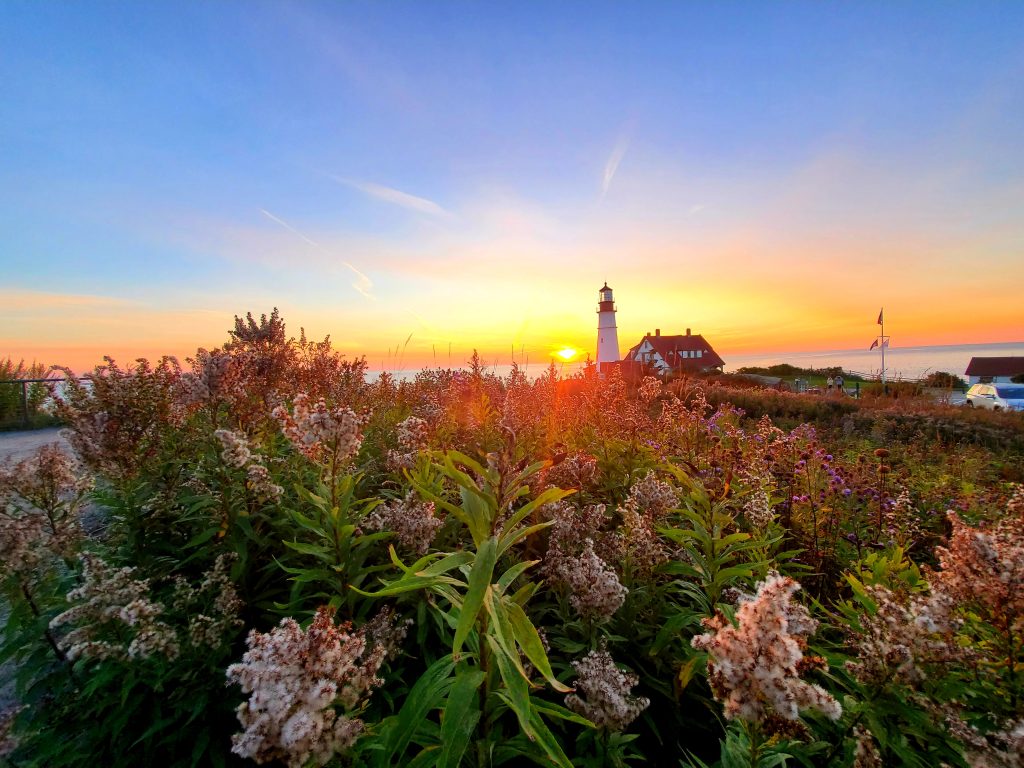 Portland Head Light Flowers, Photo Credits: Heath J. Allen Sturgis Portland Head Light Flowers, Photo Credits: Heath J. Allen Sturgis