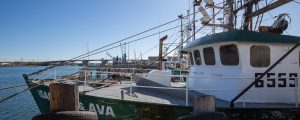 Working Waterfront Tour, Photo Credits: Serena Folding