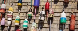 Buoys, Photo Credits: Serena Folding