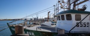 Working Waterfront, Photo Credits; Serena Folding