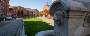 Boothby Square Downtown, Photo Credits: Serena Folding